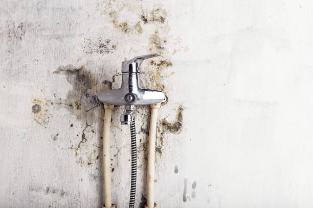 Best Commercial Mold Remediation in Chouteau, OK