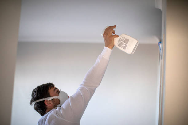 Best Health and Safety Mold Remediation in Chouteau, OK