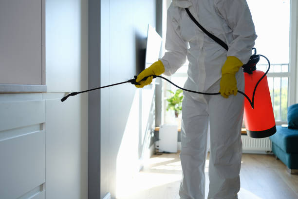 Best Commercial Mold Remediation in Chouteau, OK