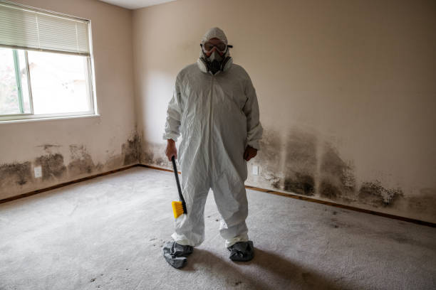 Trusted Chouteau, OK Mold Remediation Experts